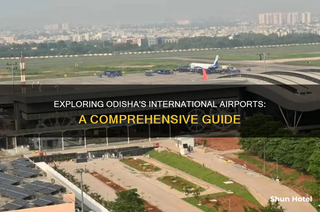how many international airport in odisha