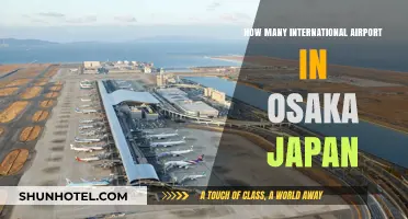 Exploring Osaka's International Airports: A Comprehensive Guide to Japan's Hubs