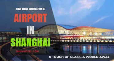 Exploring Shanghai's International Airports: A Comprehensive Guide to All Hubs