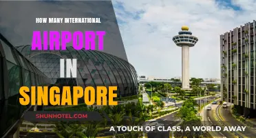 Exploring Singapore's International Airports: A Comprehensive Guide to Their Count