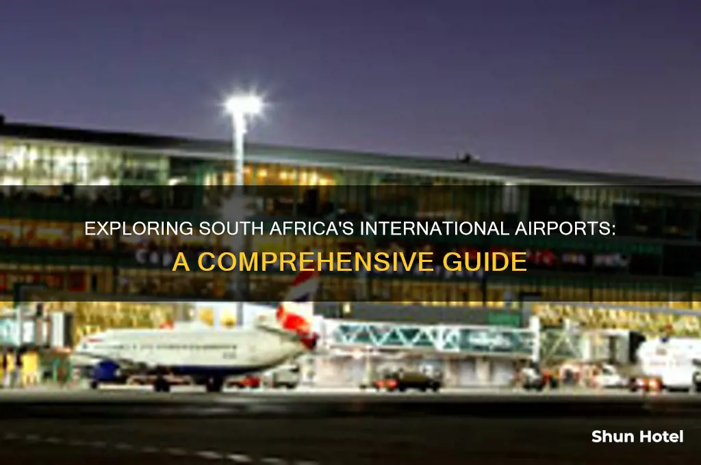 how many international airport in south africa