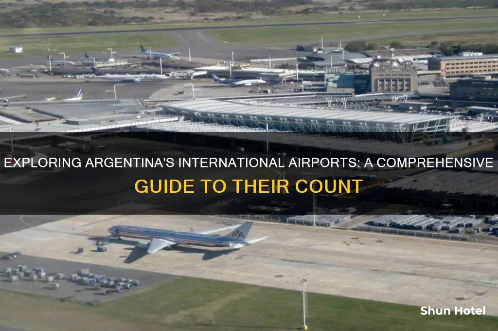 how many international airports are in argentina