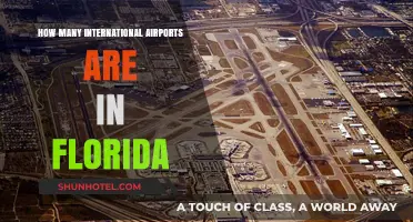 Exploring Florida's International Airports: A Comprehensive Guide to Their Count