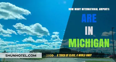 Exploring Michigan's International Airports: A Comprehensive Guide to Their Count