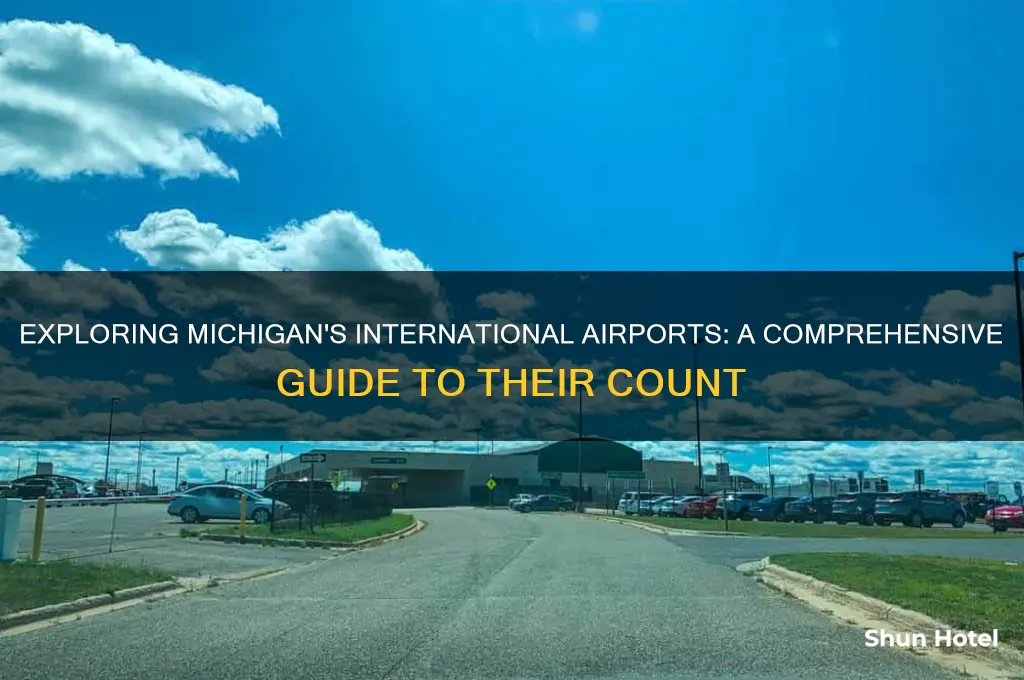 how many international airports are in michigan
