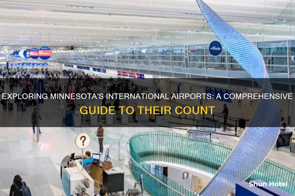 how many international airports are in minnesota