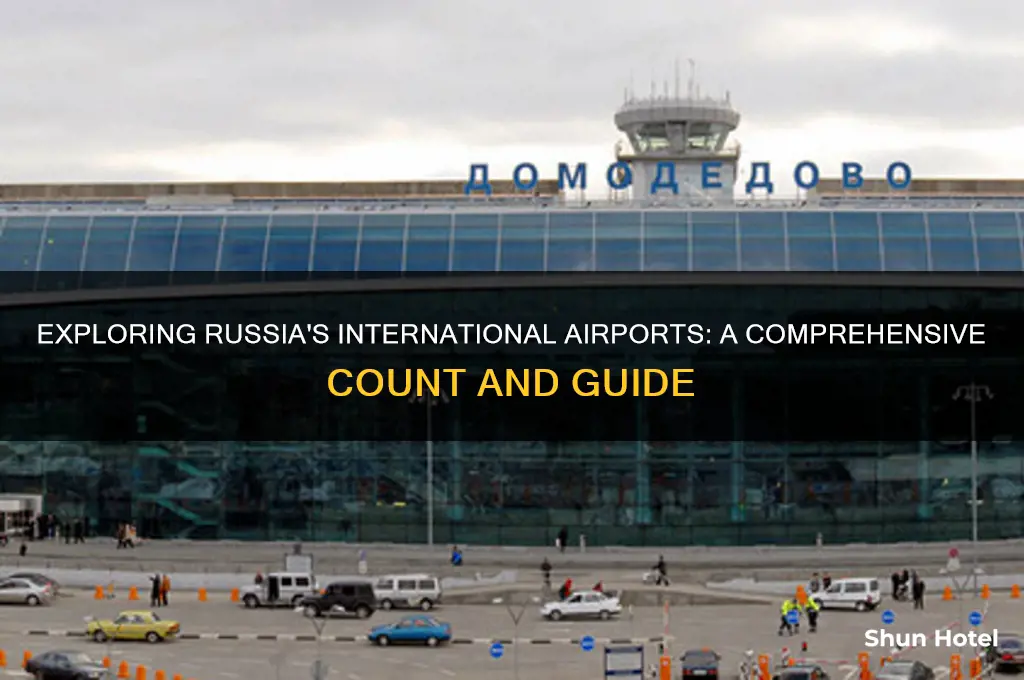 how many international airports are in russia