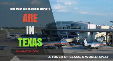 Exploring Texas: International Airports Count and Locations Revealed
