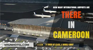Exploring Cameroon's International Airports: A Comprehensive Guide and Count