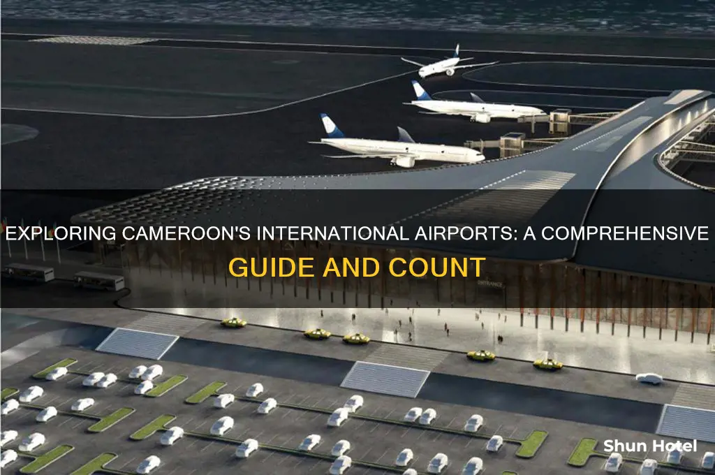 how many international airports are there in cameroon