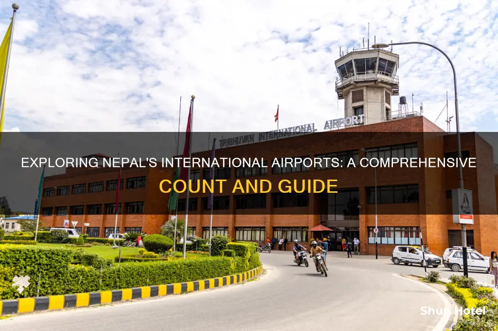 how many international airports are there in nepal