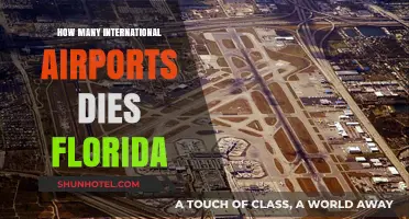 Florida's Global Gateways: Counting the State's International Airports