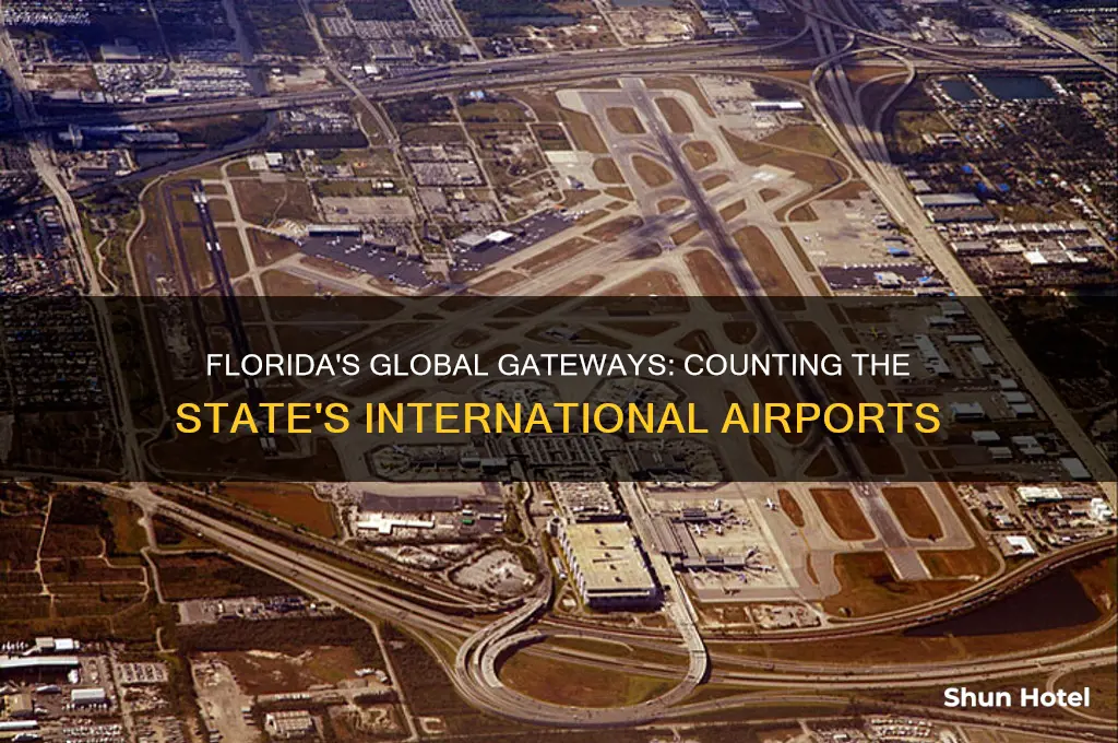 how many international airports dies florida