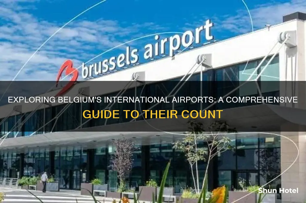 how many international airports in belgium