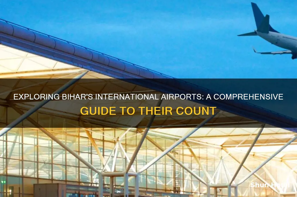 how many international airports in bihar