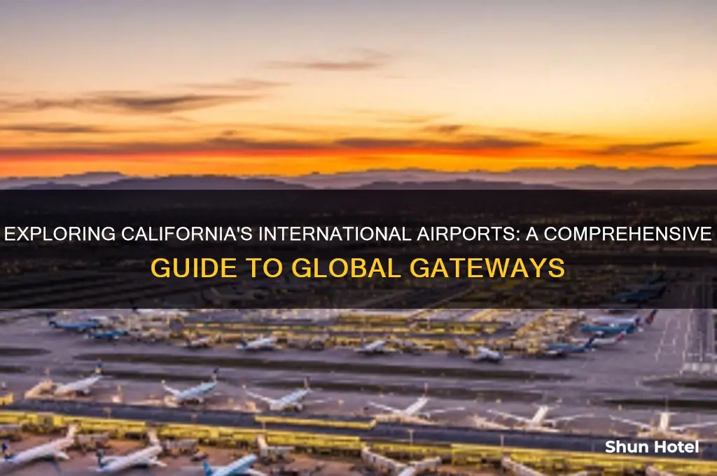 how many international airports in california