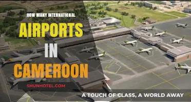 Exploring Cameroon's International Airports: A Comprehensive Guide to Their Count