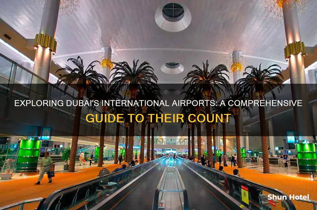 how many international airports in dubai