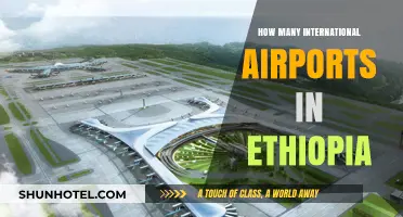Exploring Ethiopia's International Airports: A Comprehensive Guide to Their Count