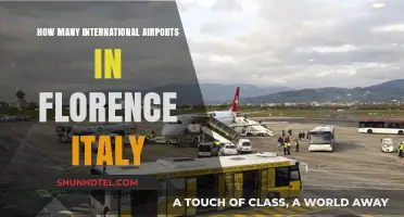 Exploring Florence's International Airport: A Comprehensive Guide to Italy's Gateway