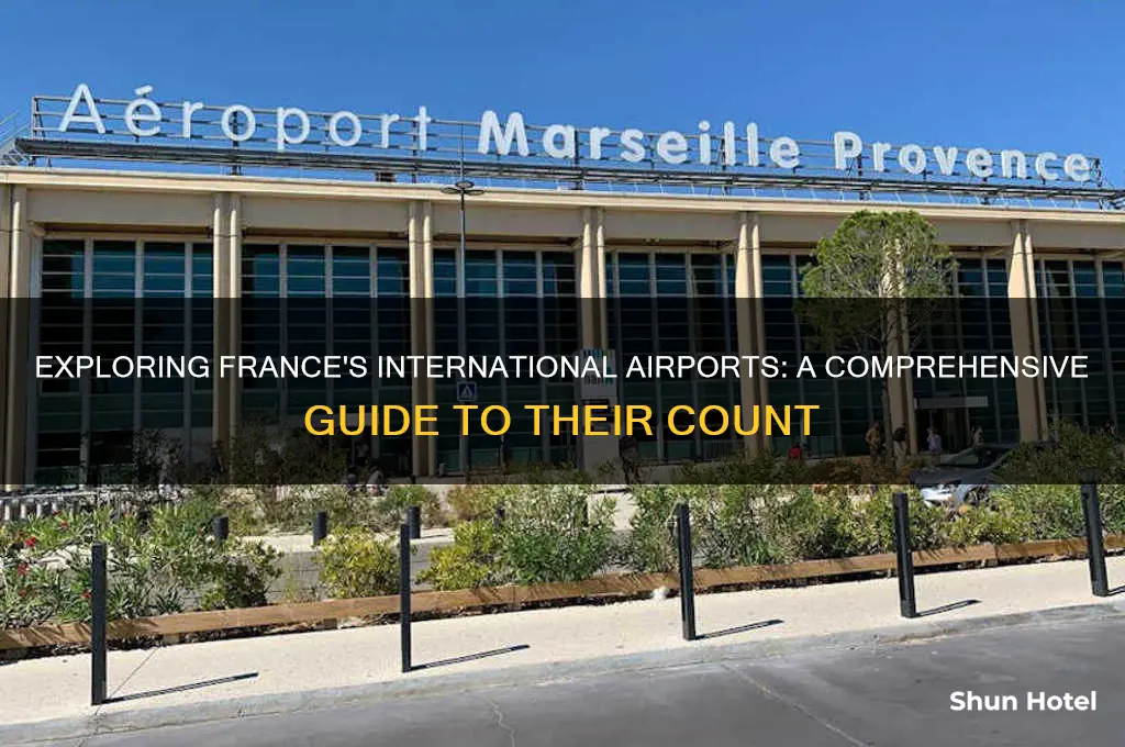 how many international airports in france
