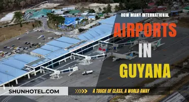 Exploring Guyana's International Airports: A Comprehensive Guide to Their Count