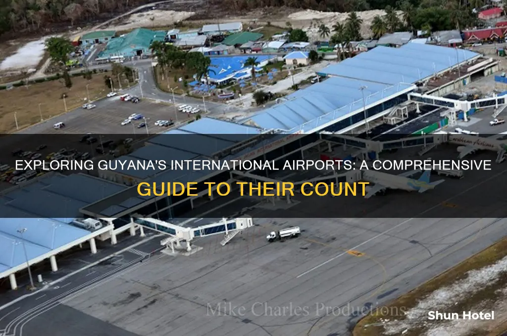 how many international airports in guyana