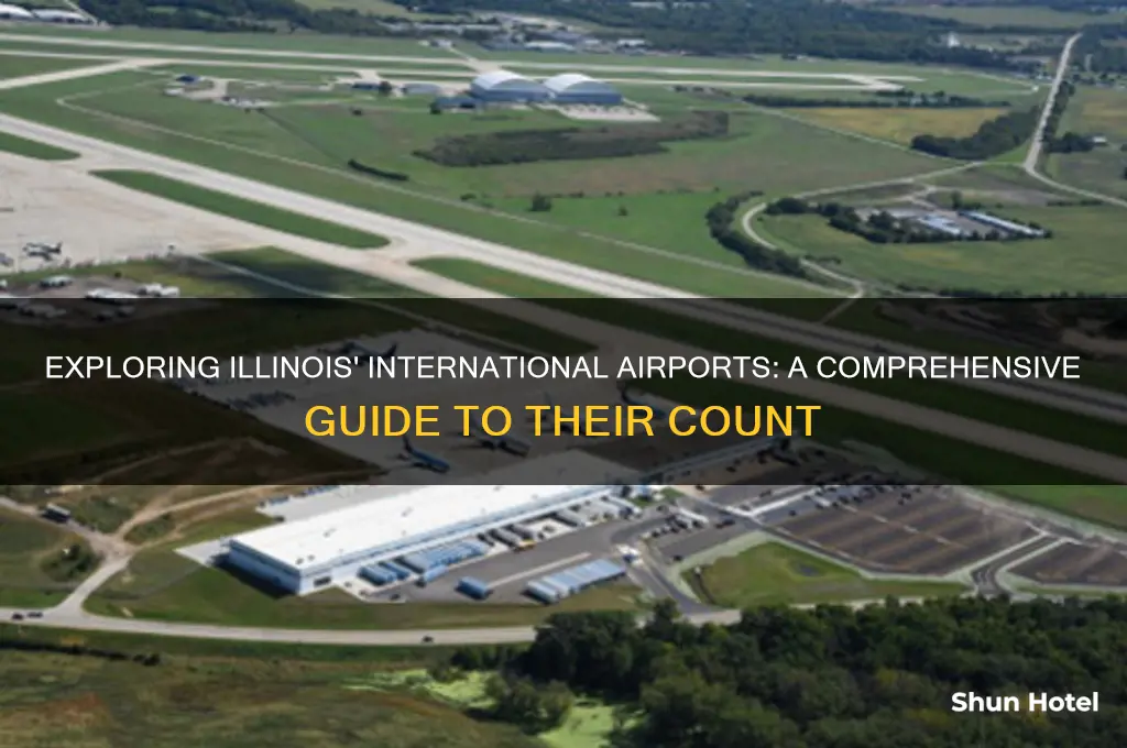 how many international airports in illinois