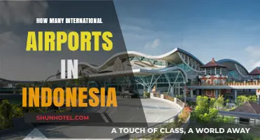 Exploring Indonesia's International Airports: A Comprehensive Guide to Their Count