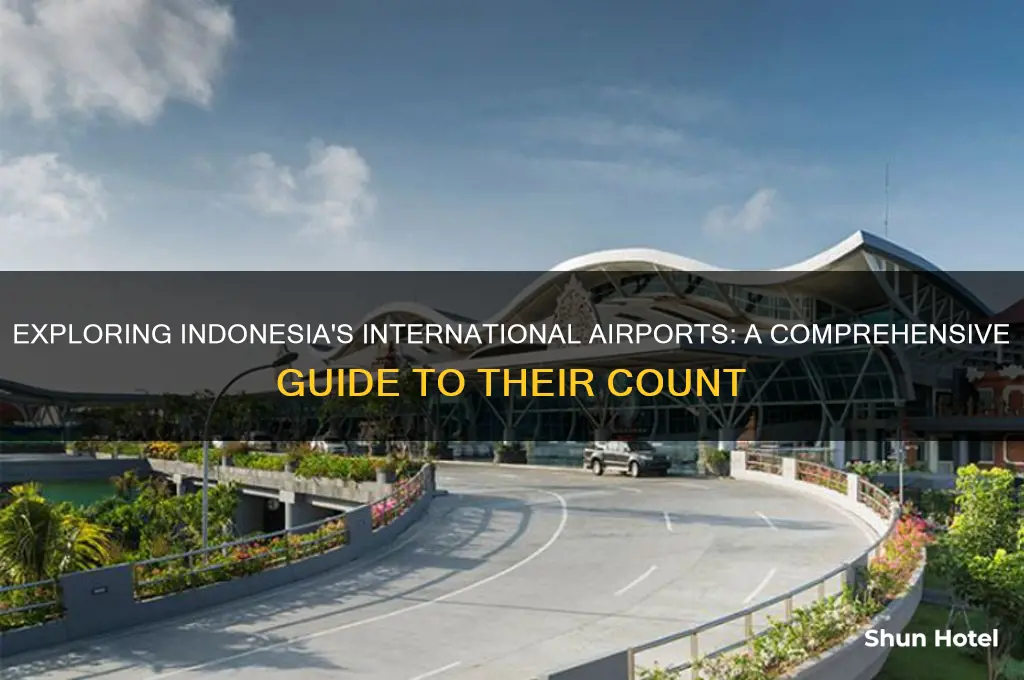 how many international airports in indonesia
