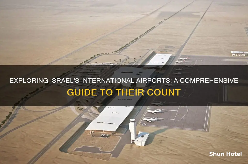 how many international airports in israel