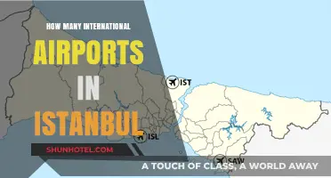 Istanbul's International Airports: A Comprehensive Guide to Their Count