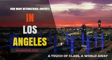 Exploring LA's Global Gateways: International Airports in Los Angeles