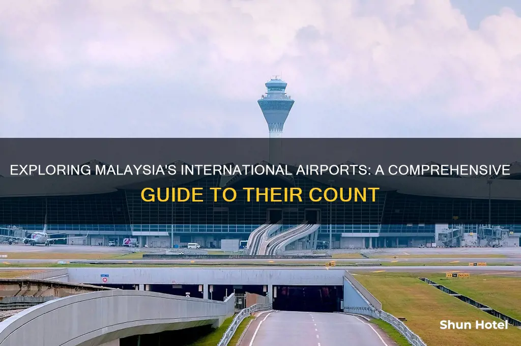 how many international airports in malaysia