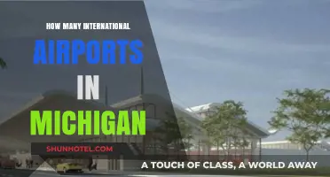 Exploring Michigan's International Airports: A Comprehensive Guide to Global Connections