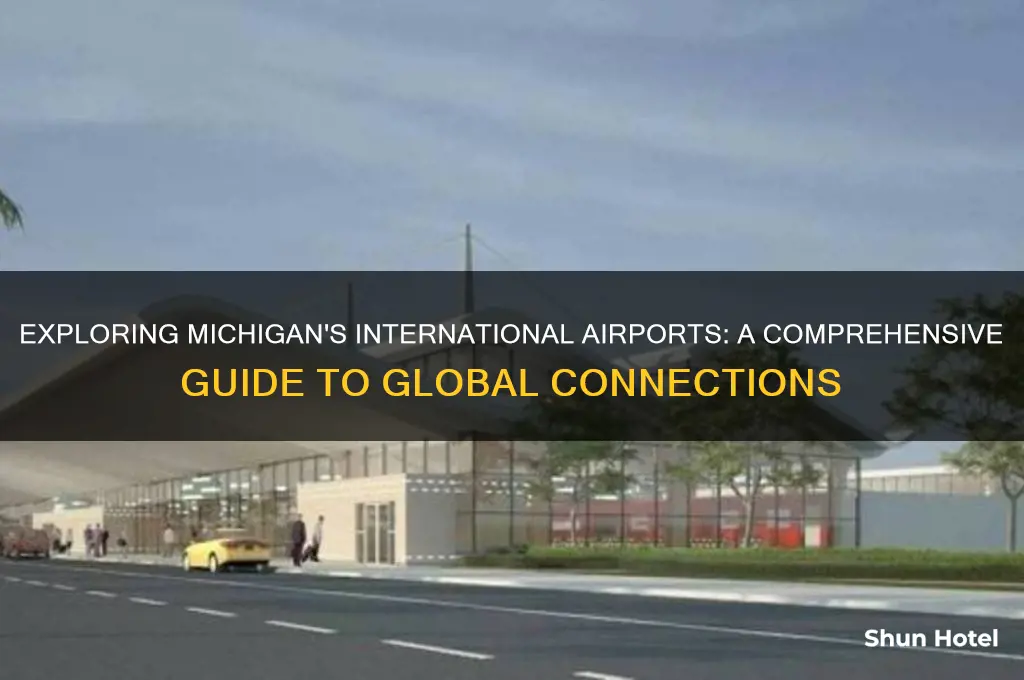 how many international airports in michigan