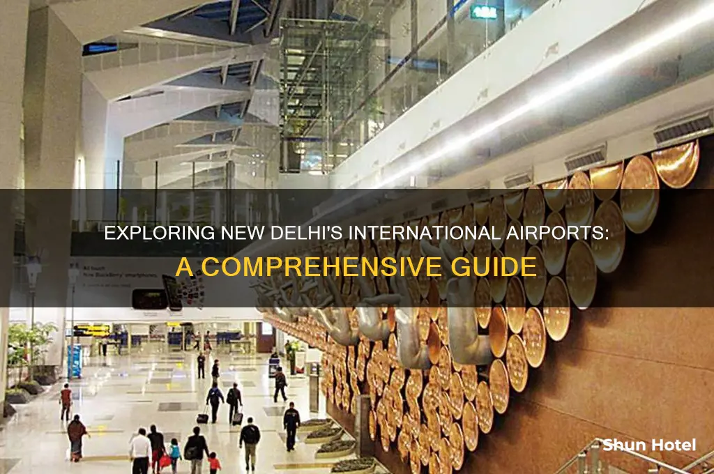 how many international airports in new delhi
