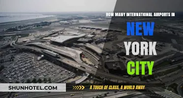 Exploring NYC's Global Gateways: International Airports in New York City