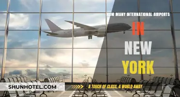 Exploring New York's International Airports: A Comprehensive Guide