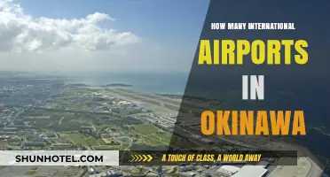 Exploring Okinawa's International Airports: A Comprehensive Guide to Travel Hubs