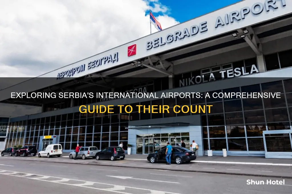 how many international airports in serbia