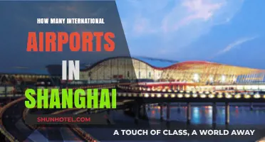 Exploring Shanghai's International Airports: A Comprehensive Guide