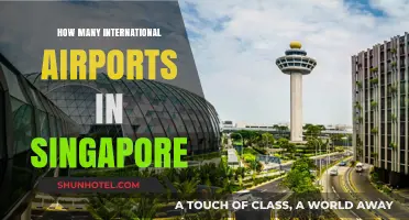 Exploring Singapore's International Airports: A Comprehensive Guide to Their Count