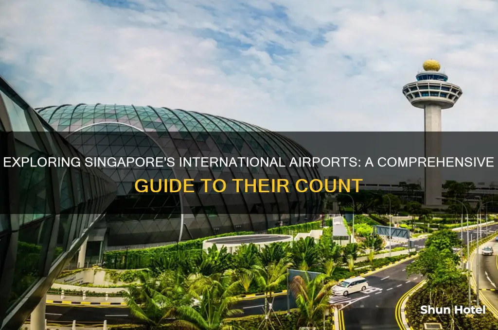 how many international airports in singapore