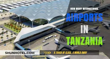 Exploring Tanzania's International Airports: A Comprehensive Guide to Their Count