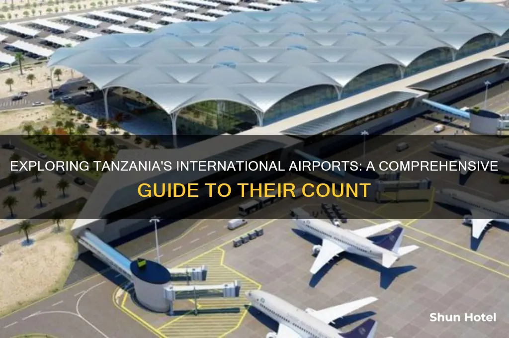 how many international airports in tanzania