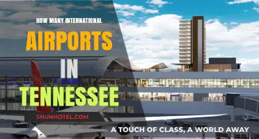 Exploring Tennessee's International Airports: A Comprehensive Guide to Their Count