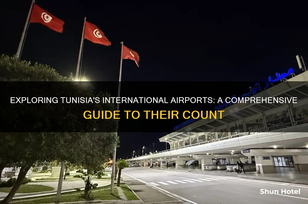 how many international airports in tunisia