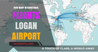 Exploring Logan Airport's Global Reach: International Flight Frequency Revealed