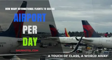 Daily International Flights to Seattle-Tacoma (Seatac) Airport: A Breakdown